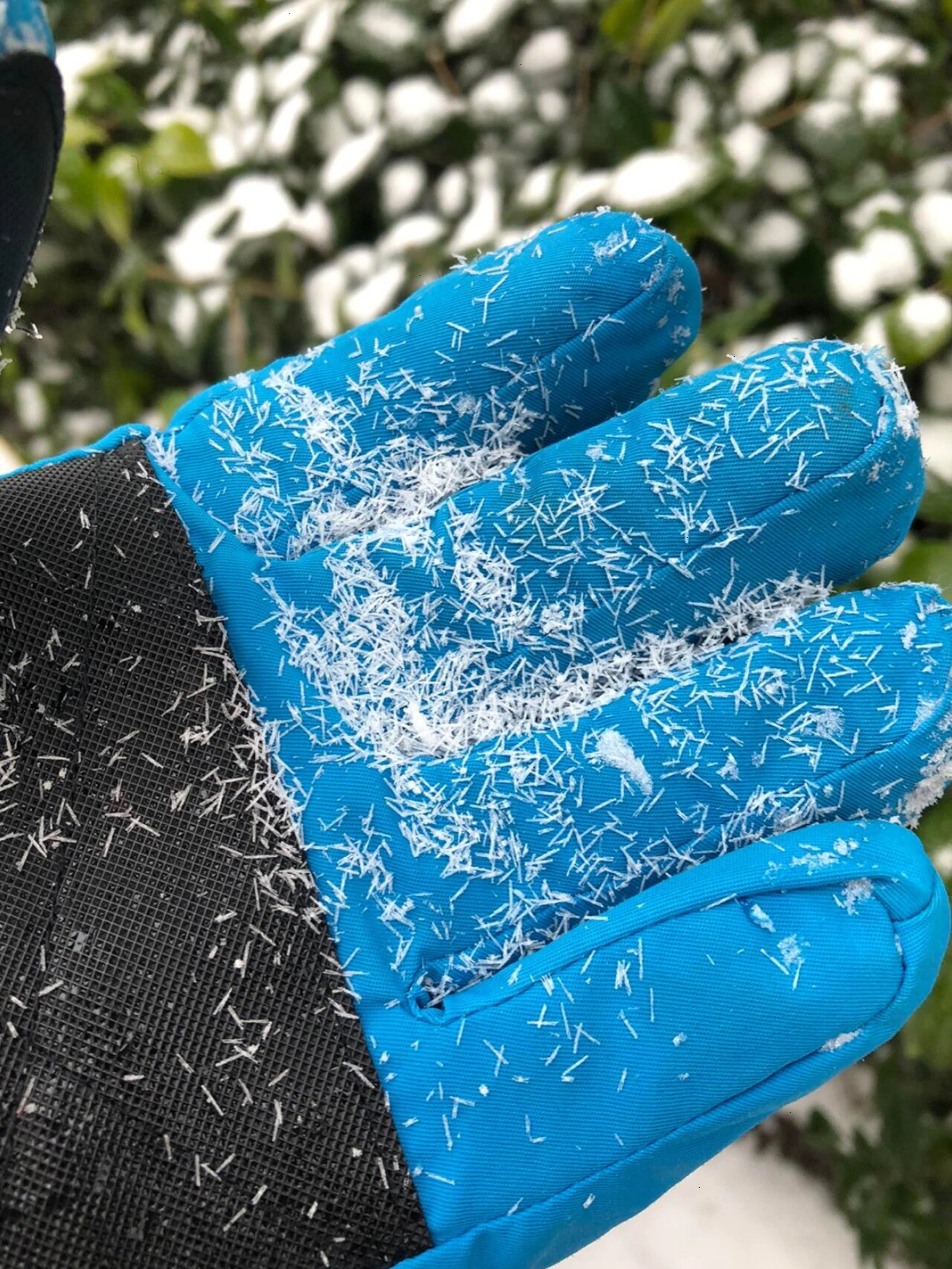 以前雪花是五瓣六瓣 现在咋是1个瓣