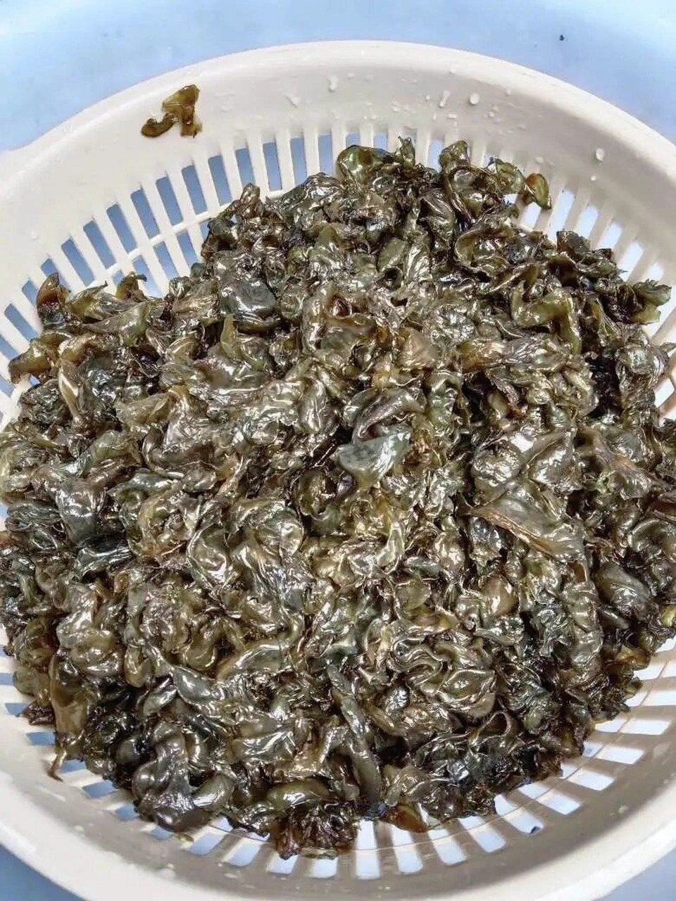 地衣菜又叫地耳,地衣,地木耳,地软菜,具有清热明目,补虚益气,滋养