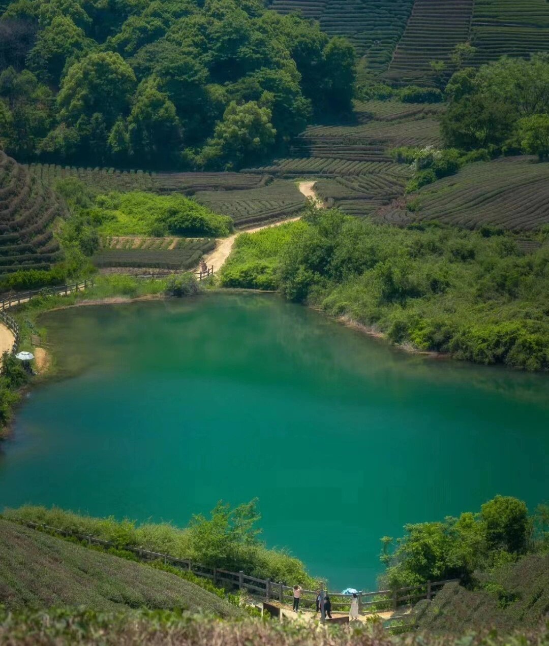 西湖龙坞风景区-溪映听庐