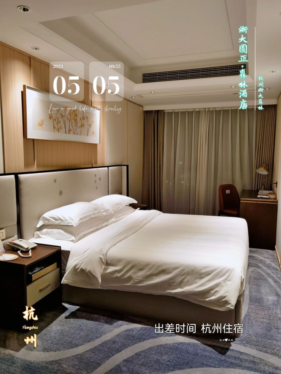 杭州住宿 | 浙大森林里的浙大圆正·森林酒店 在浙大森林里开会,就近