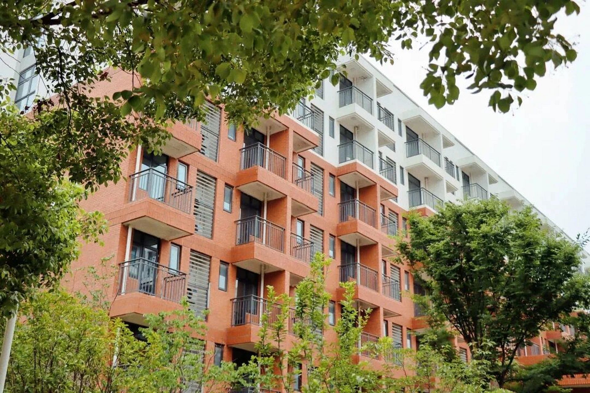 武汉外语外事职业学院 欢迎同学们咨询武汉外语外事职业学院～私信我