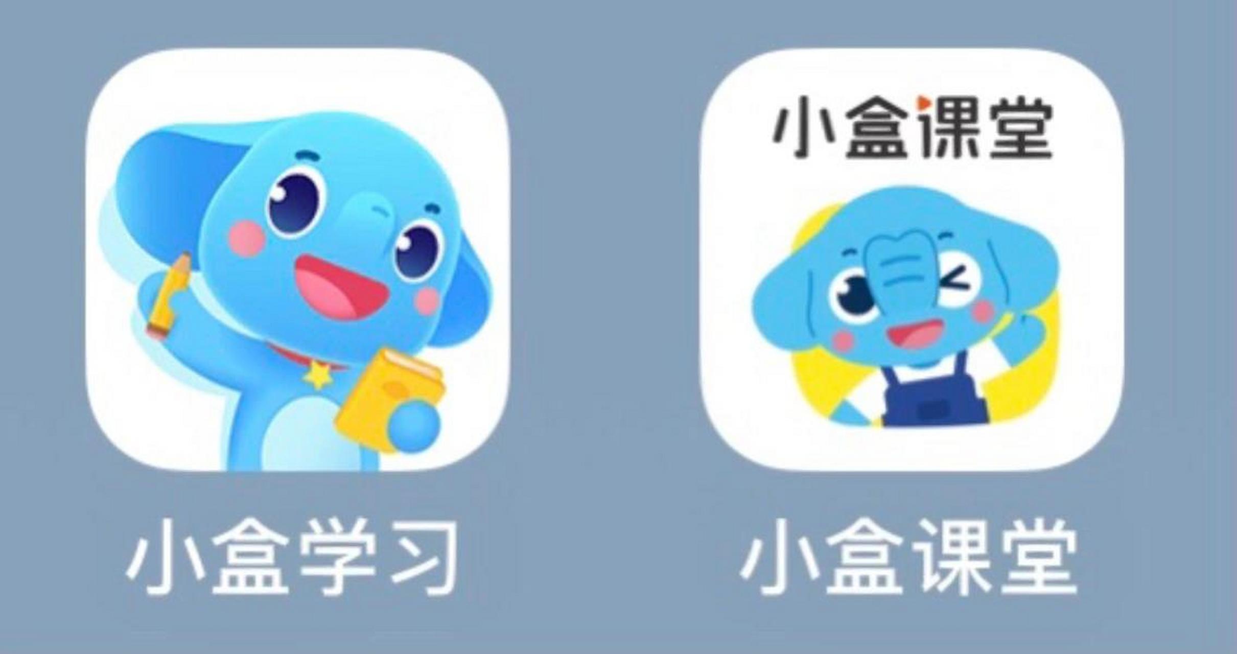 小盒课堂app免费下载图片