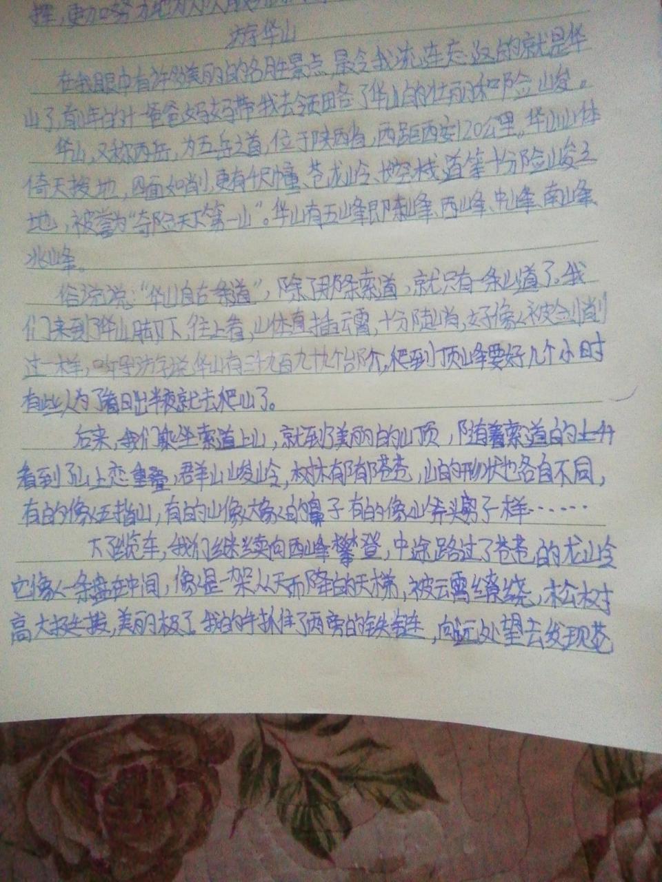 四年级作文游华山