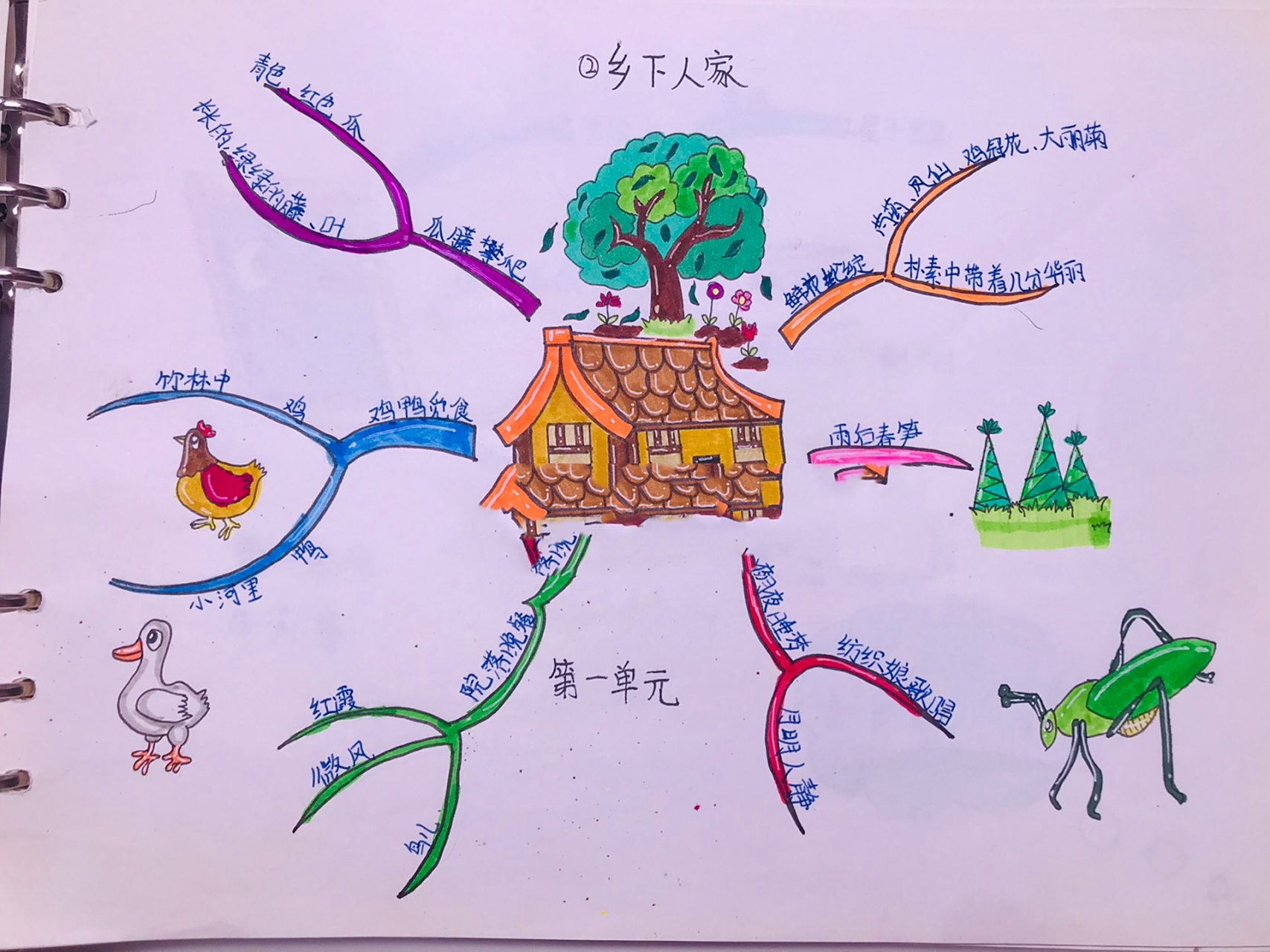四年级语文《乡下人家》思维导图绘画