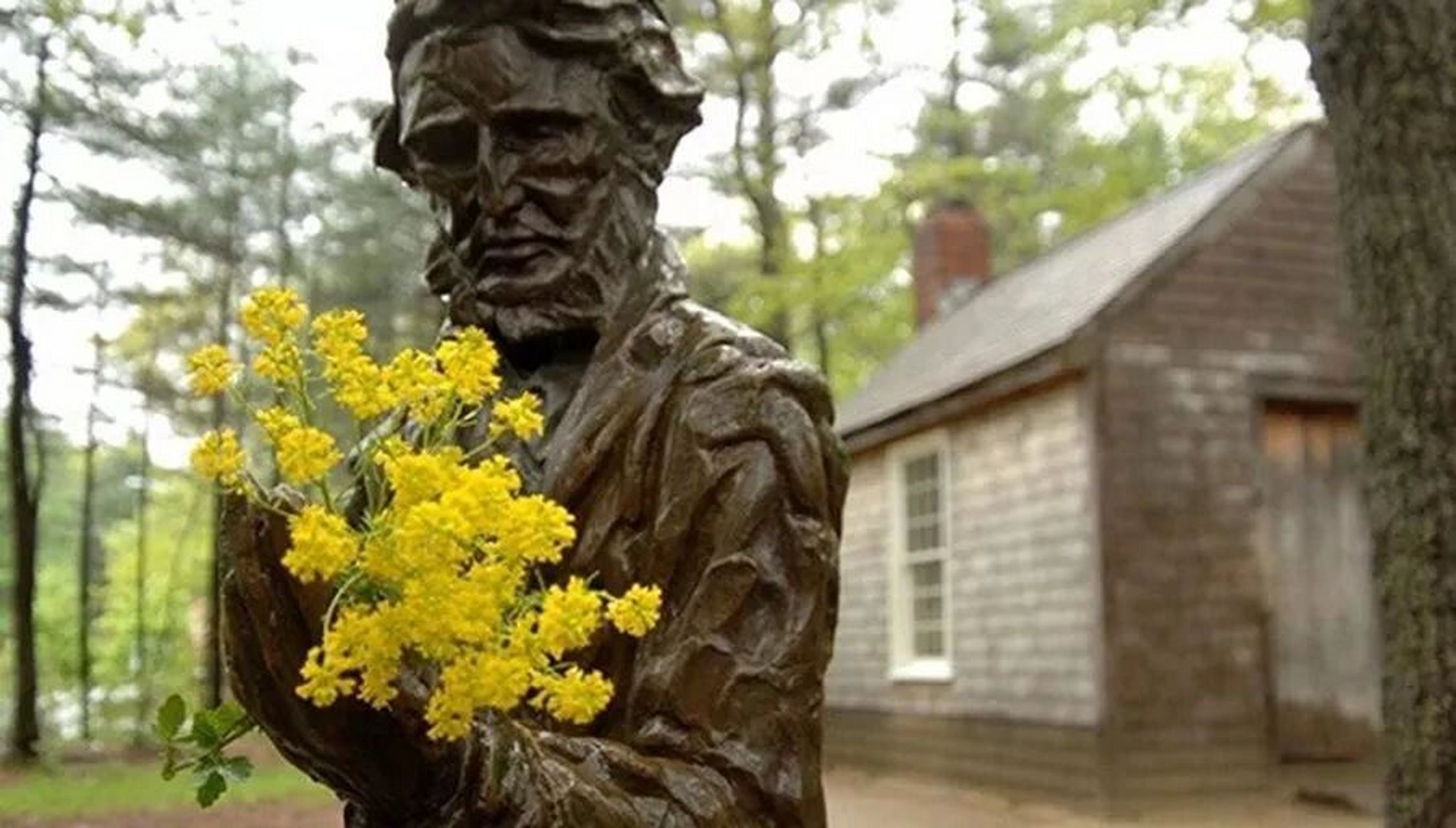 《瓦尔登湖》15条语录,远离喧嚣,寻求自我 1845年,梭罗在瓦尔登湖畔