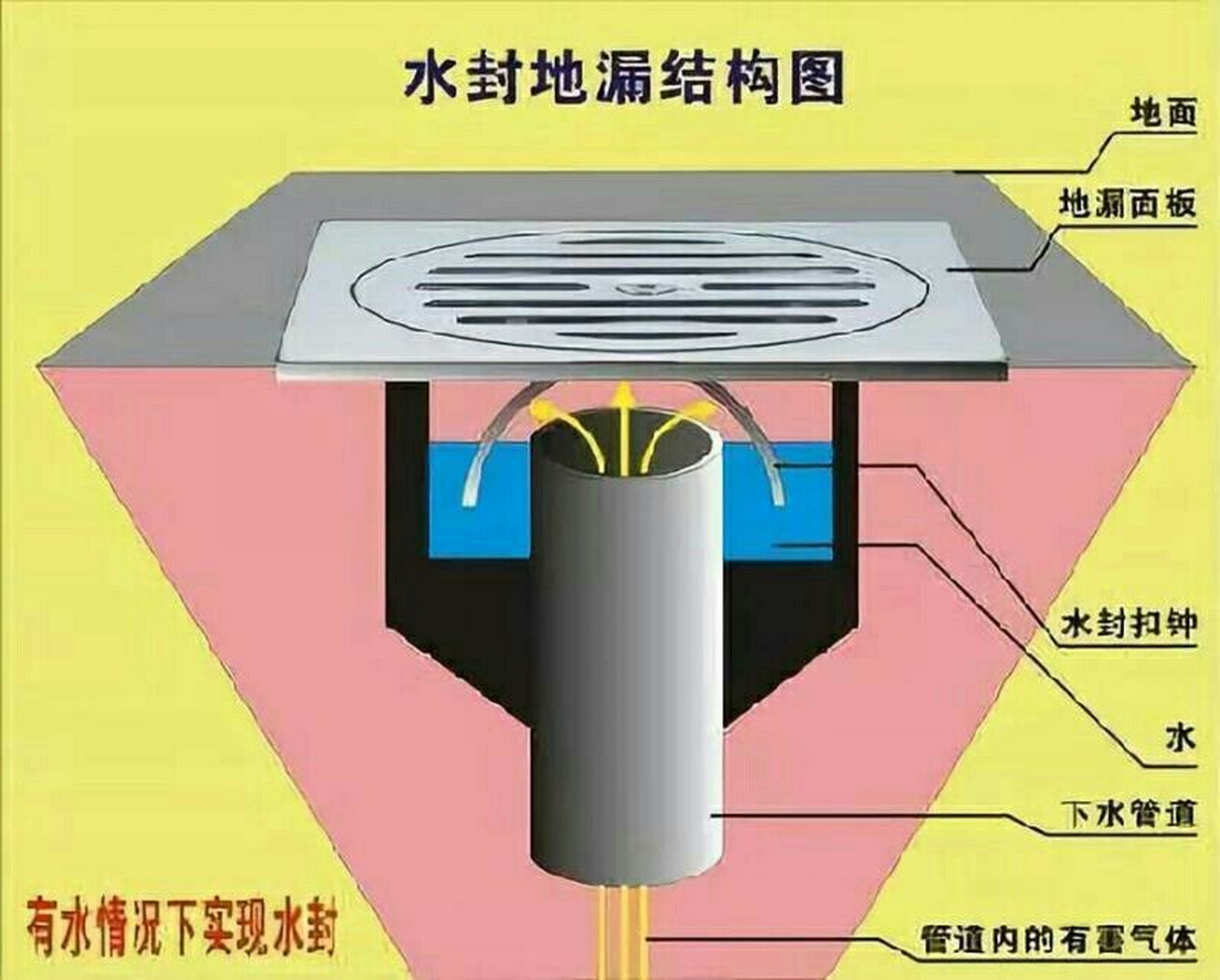 地漏内部结构图片