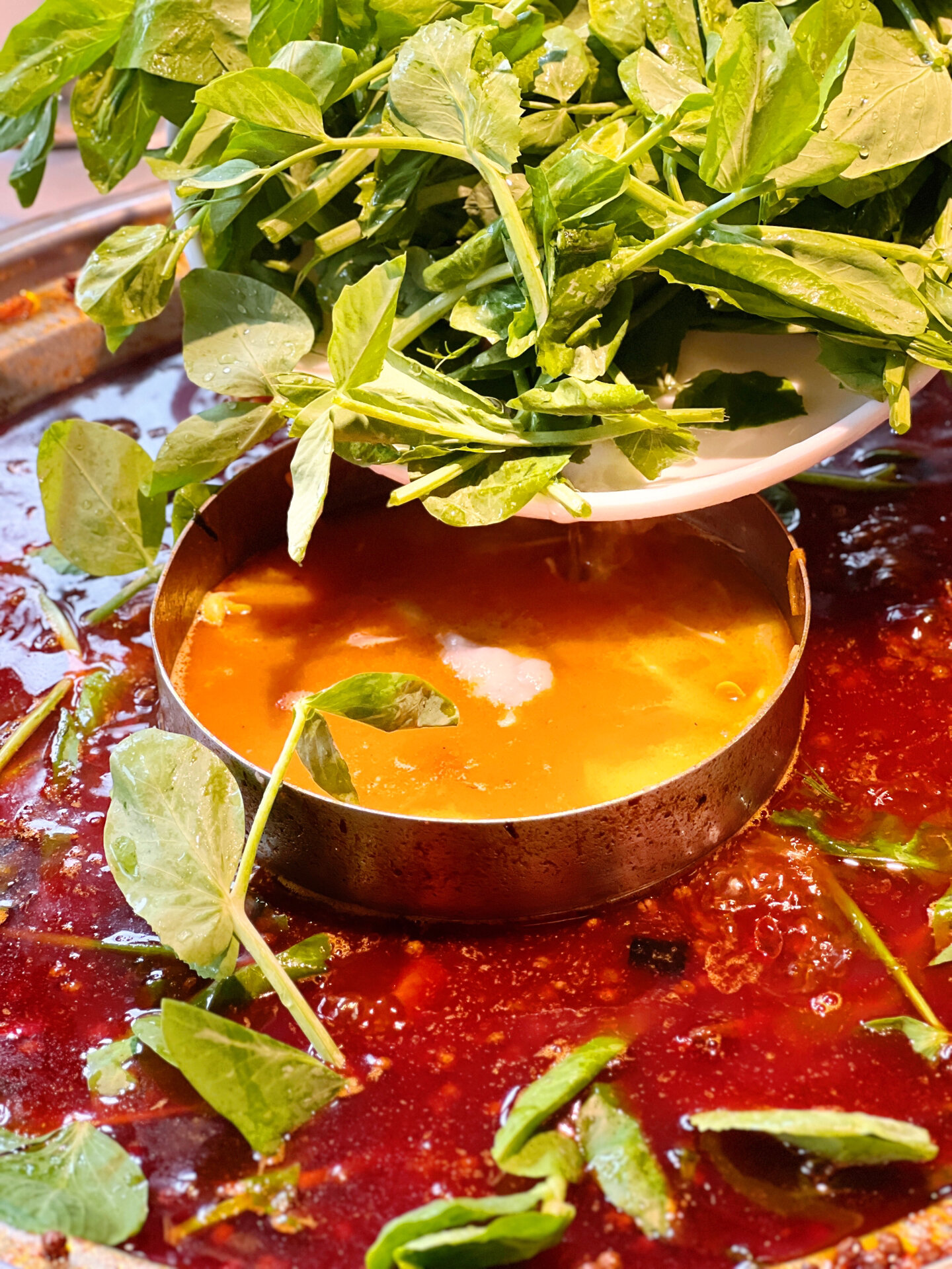 冬天火锅必备豌豆尖!四川人都懂!