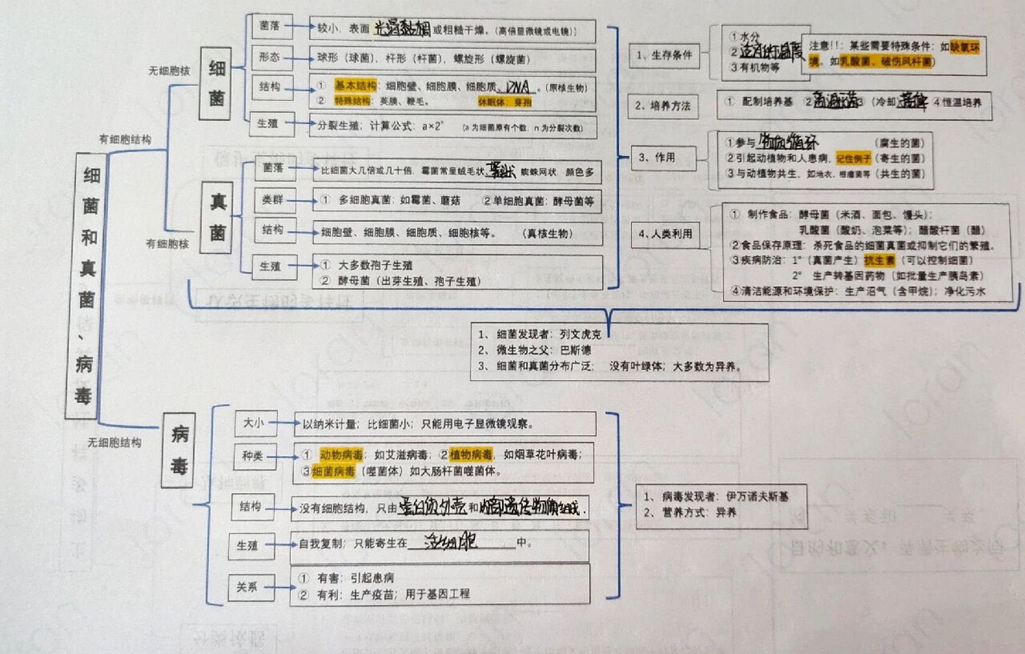 八年級上冊生物第3章思維導圖96 可能有點亂,但是知識點全,大家湊合