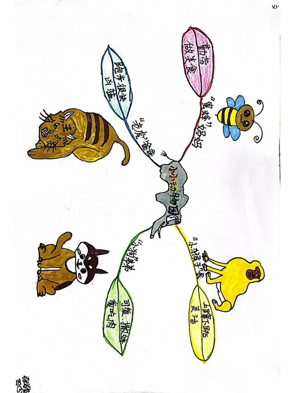 小小动物园思维导图 四年级上册第二单元习作:小小动物园.
