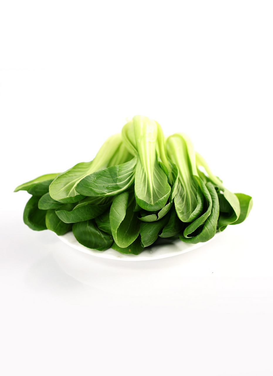 蔬菜-新鲜小白菜绘画素材02油菜拍照 油白菜,苦菜,是十字花科植物