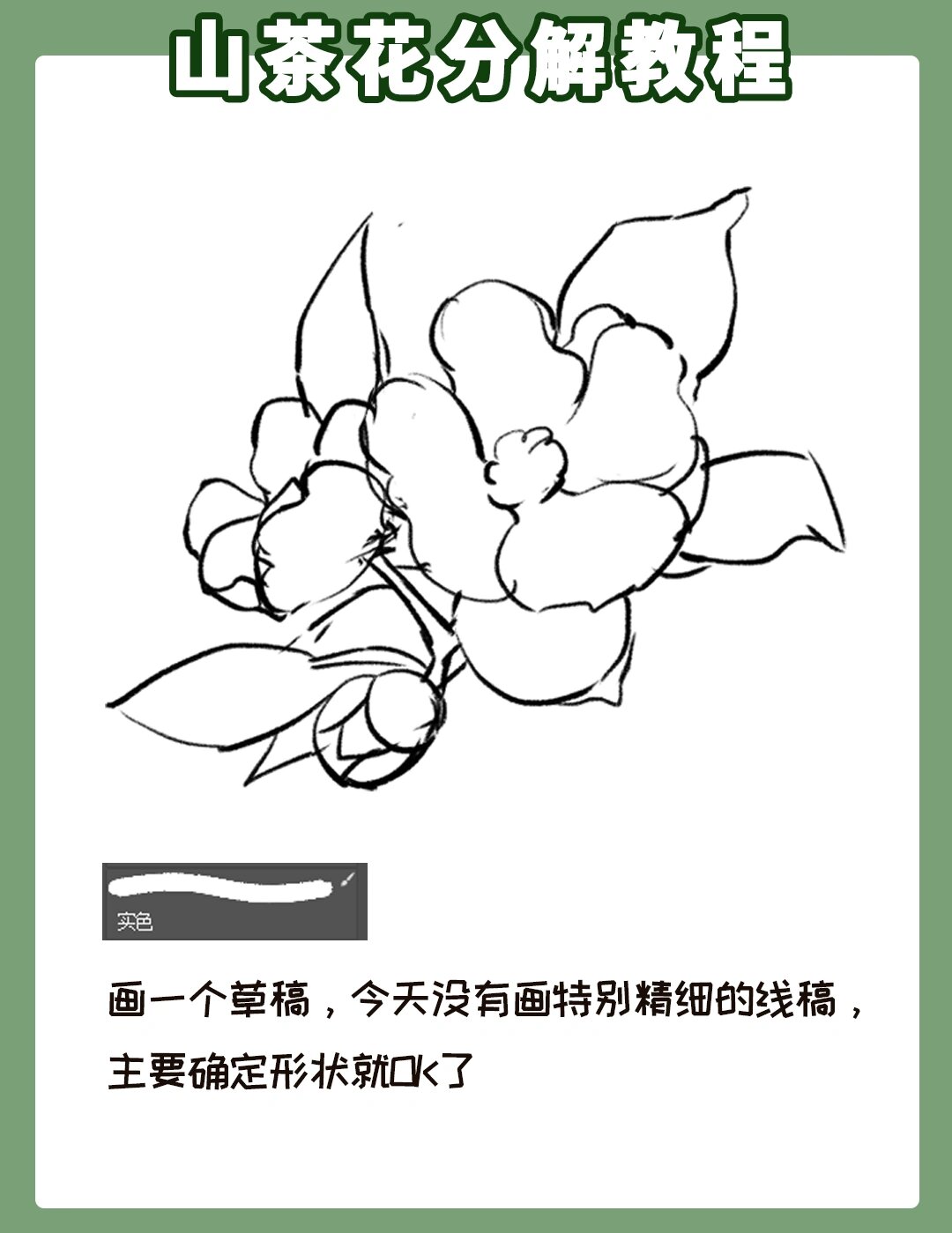 今天分享一个山茶花的画法 绘画工具ps手绘板 笔刷可分享