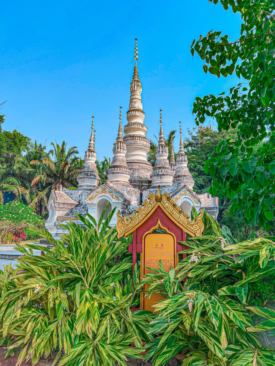 西双版纳旅游 | 白塔绝美拍照机位 曼飞龙白塔是版纳雨林的无瑕象征