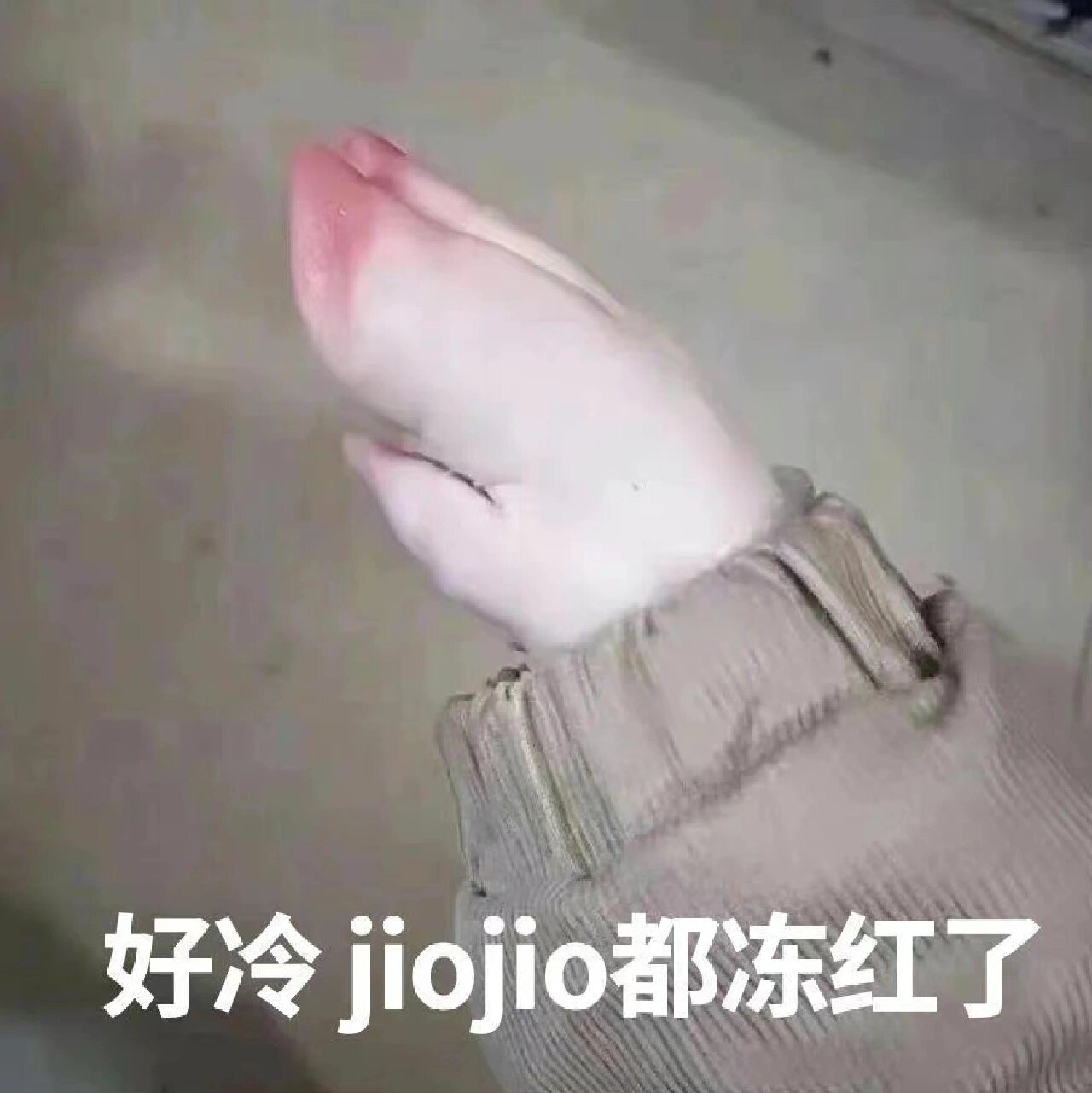 天气太冷了表情包系列第一个弹