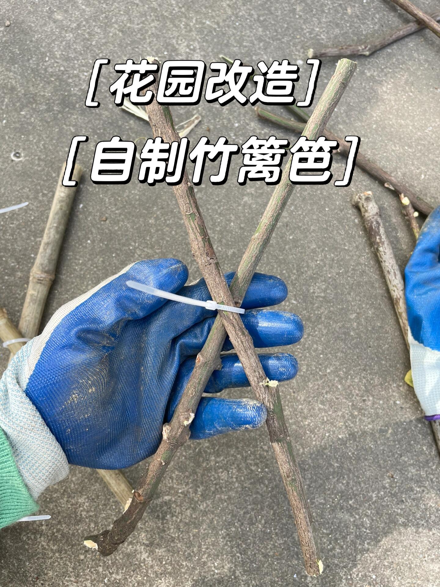 花园改造——diy竹篱笆