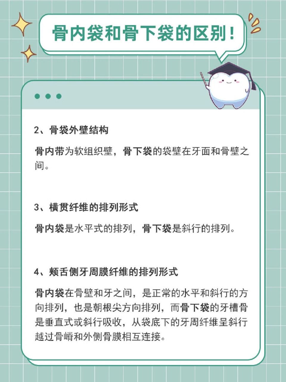 骨内袋和骨下袋的区别主要体现在位置,骨袋外壁结构,横贯纤维的排列
