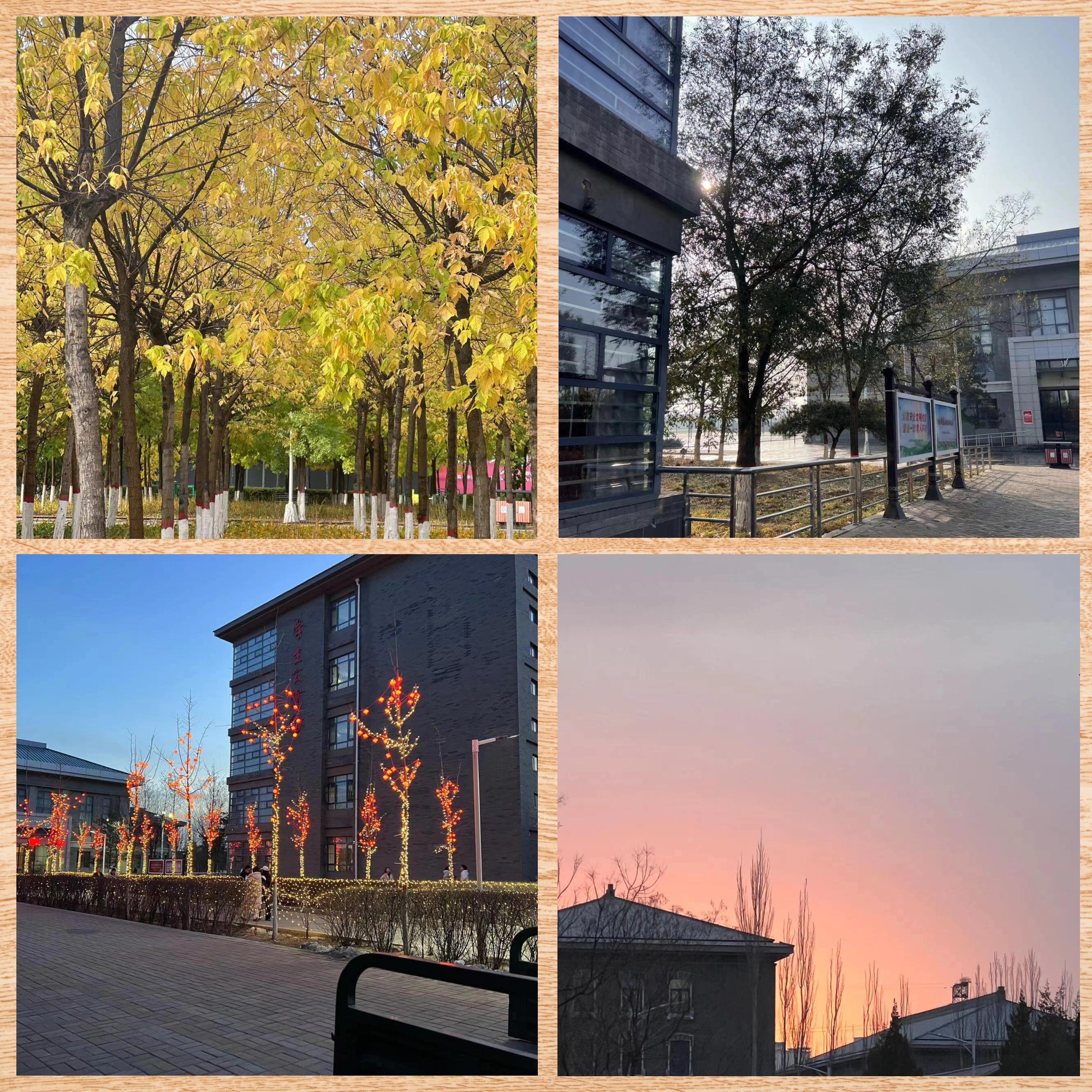 大同师范高专学校