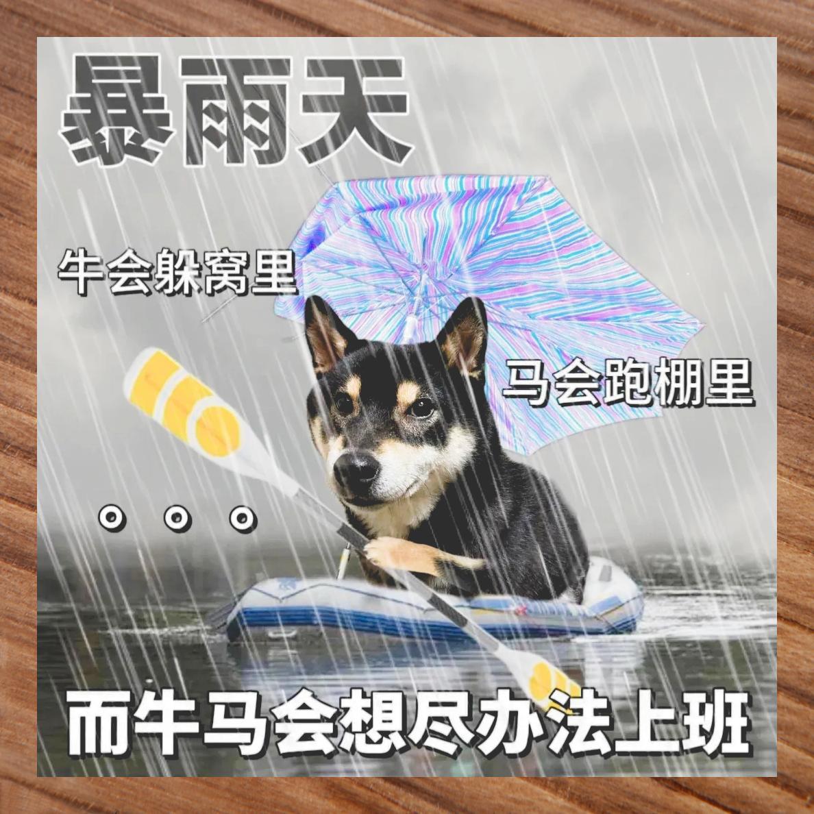 雨中打工人 坚持上班路