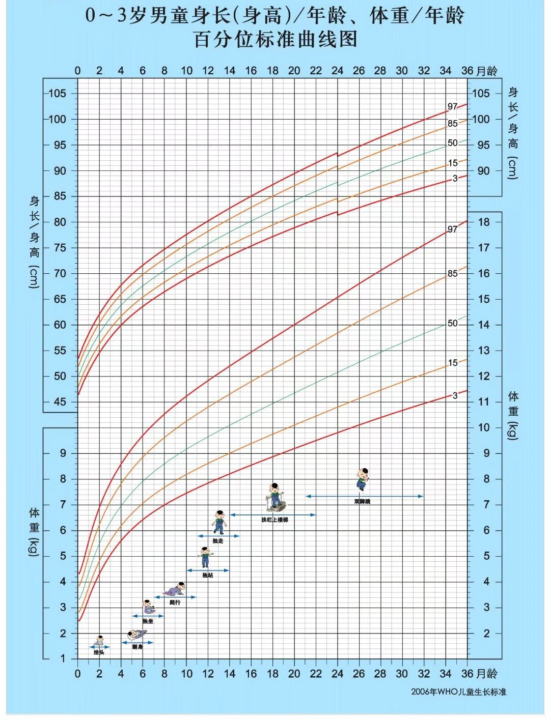新生儿体重增长曲线图图片