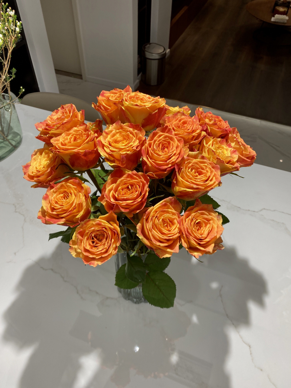 欢乐颂玫瑰 欢乐颂第一天到第十三天 逐渐开爆开成菊花