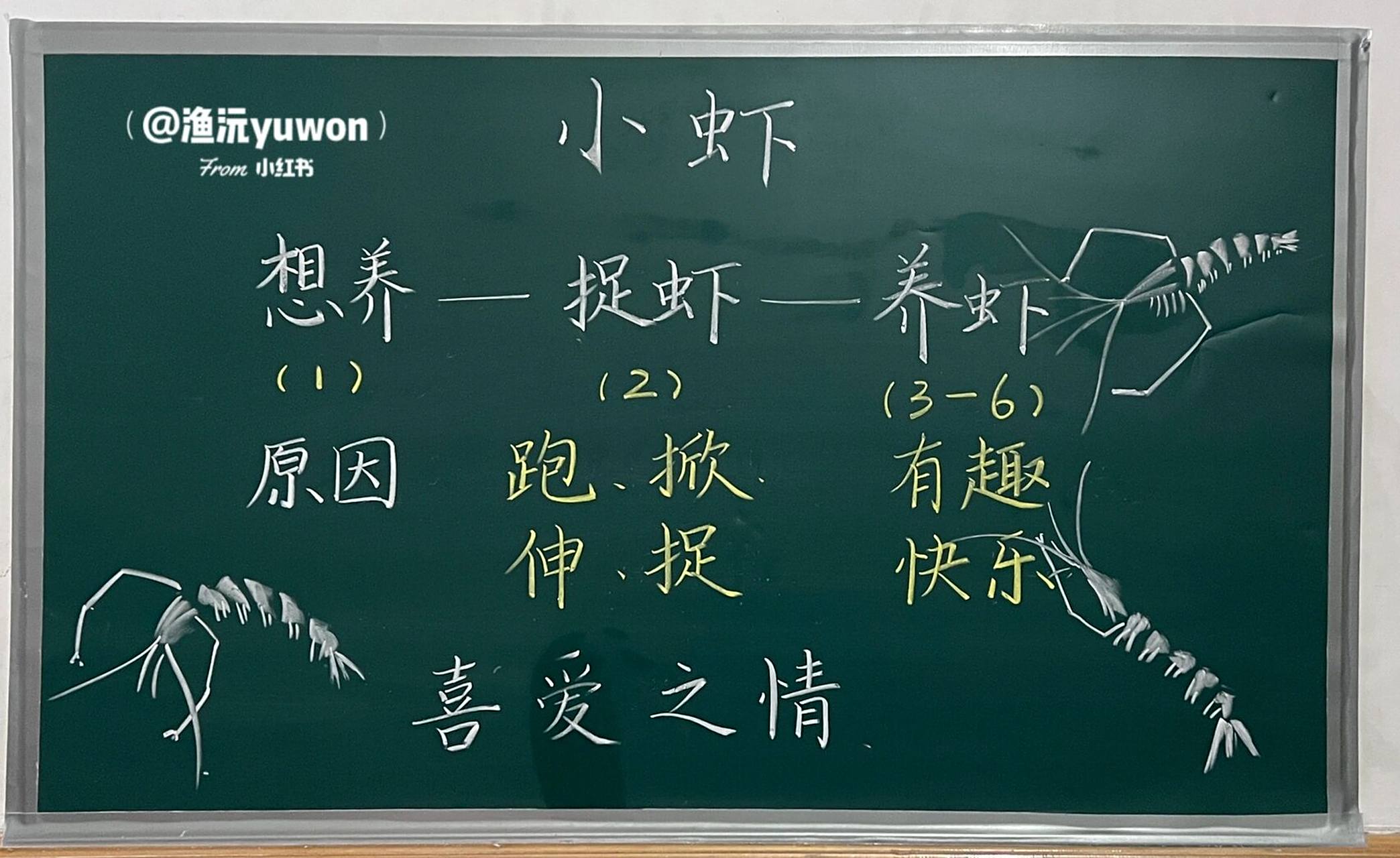 三(下)《小虾》板书设计 #小学语文板书设计