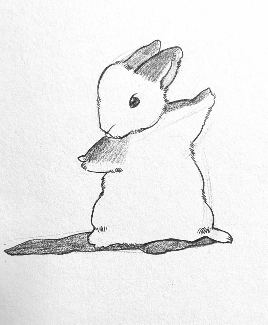 超简单【速写兔子】步骤图