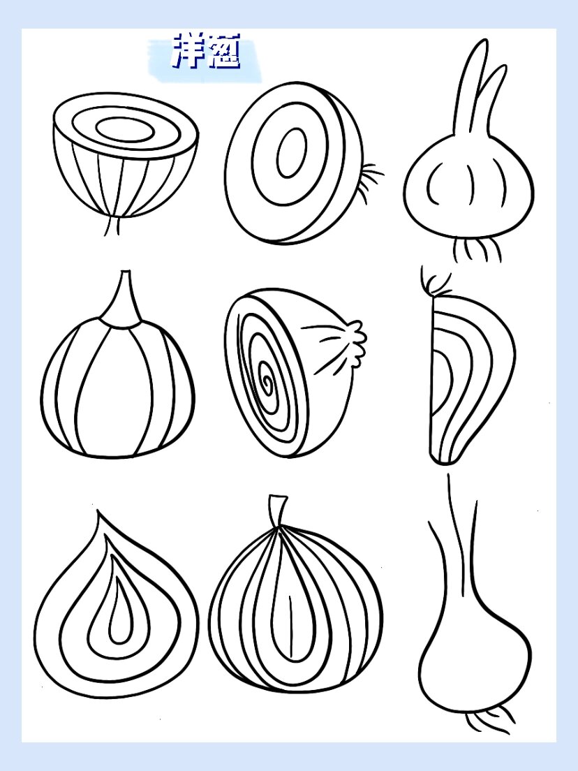 简笔画|洋葱