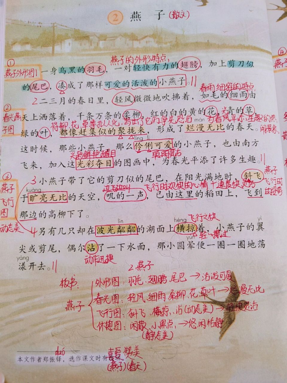7199三下备课|2,燕子 学生课堂笔记 寒假第二更!