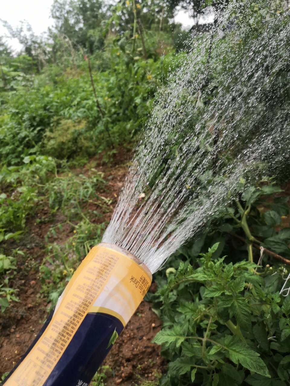 自制浇水喷头图片