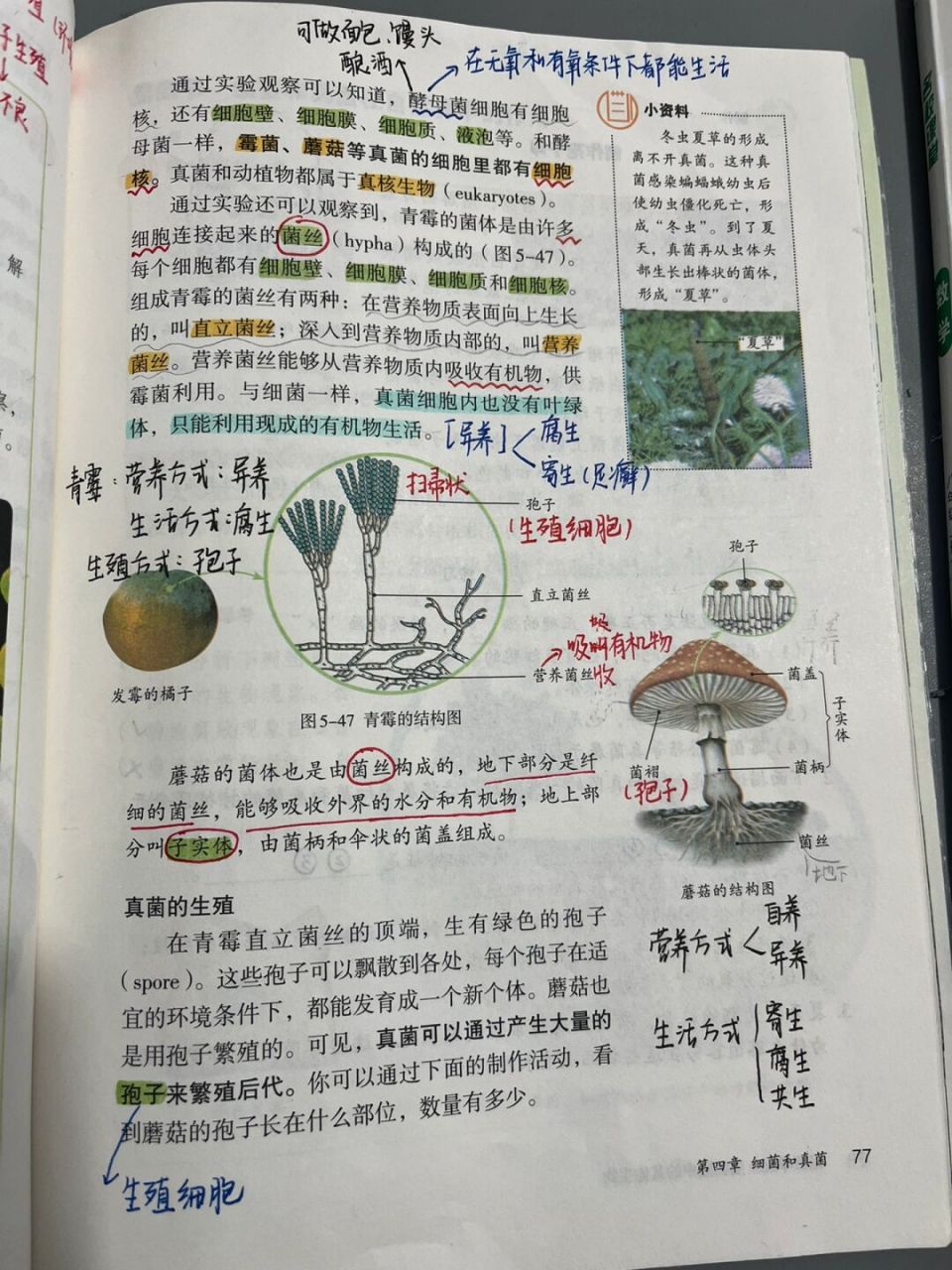 初二上册生物笔记图片图片