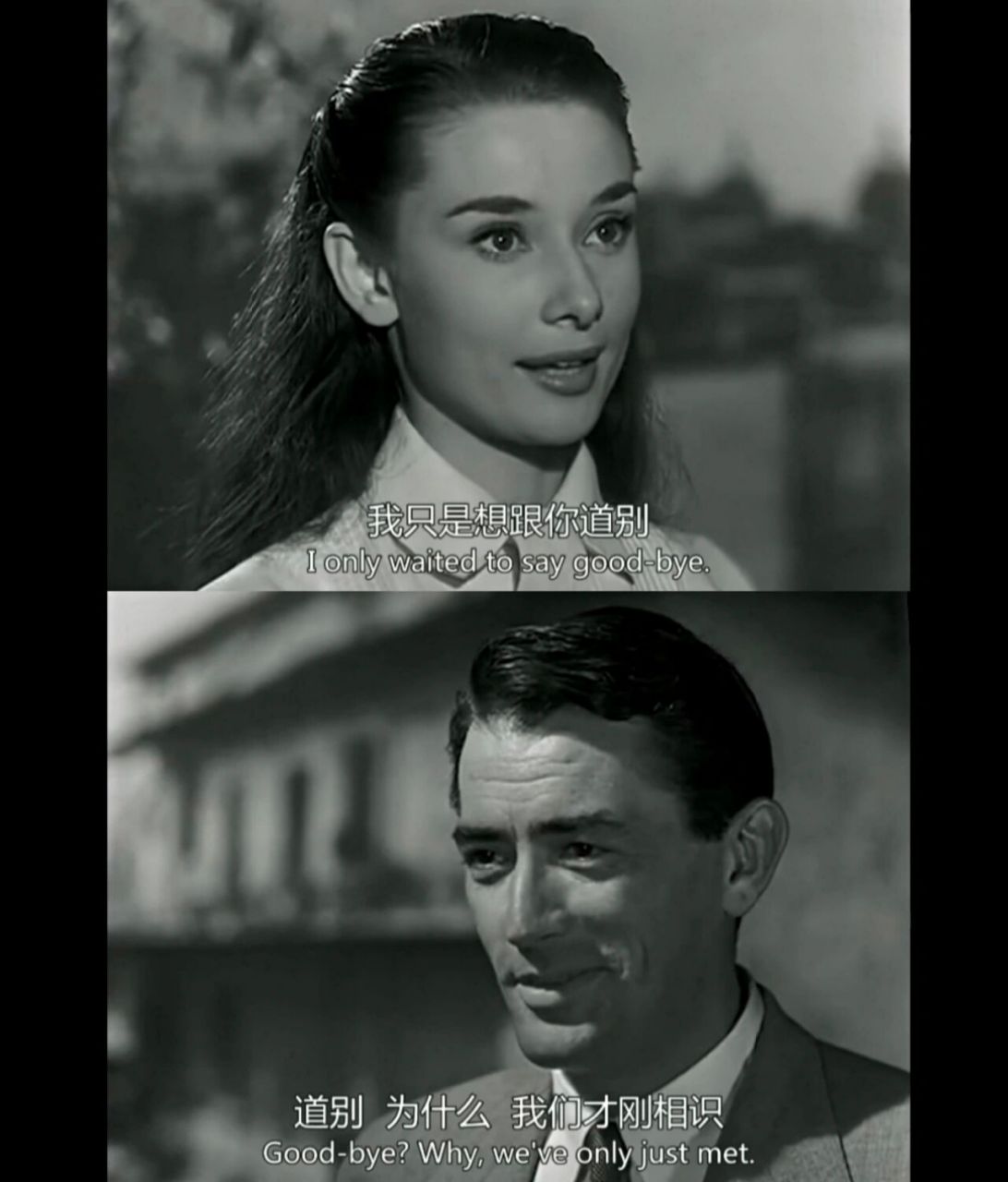 《罗马假日》 经典台词 99 "要么在读书,要么在旅行,灵魂和身体,总