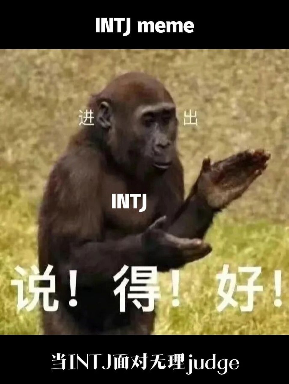 intj:真闲.