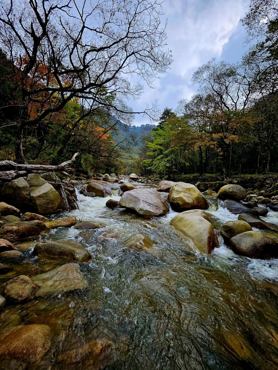 原来我的家乡|嘉陵江源头|这么美781578157815 难得休假