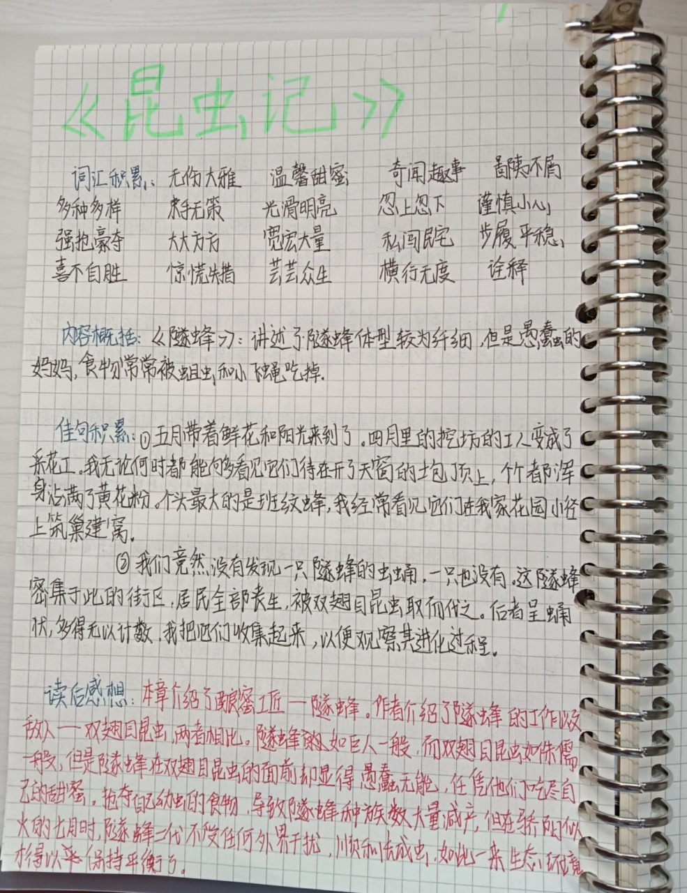 《昆虫记》隧蜂 读书笔记 《昆虫记》隧蜂 读书笔记