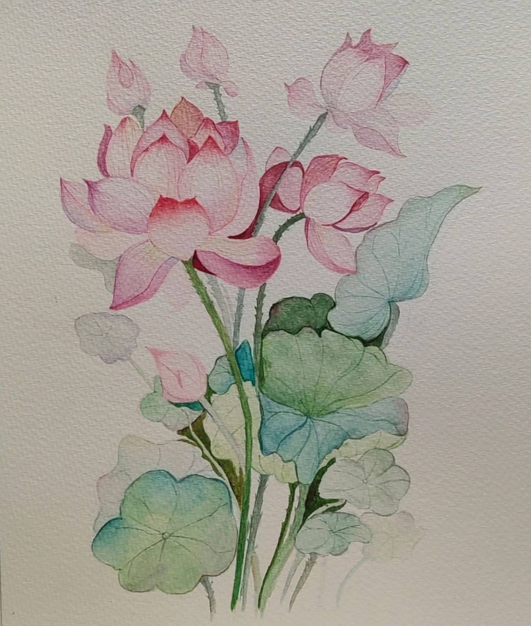 手绘清廉主题绘画 荷花,清廉主题,水彩# # 临摹作品