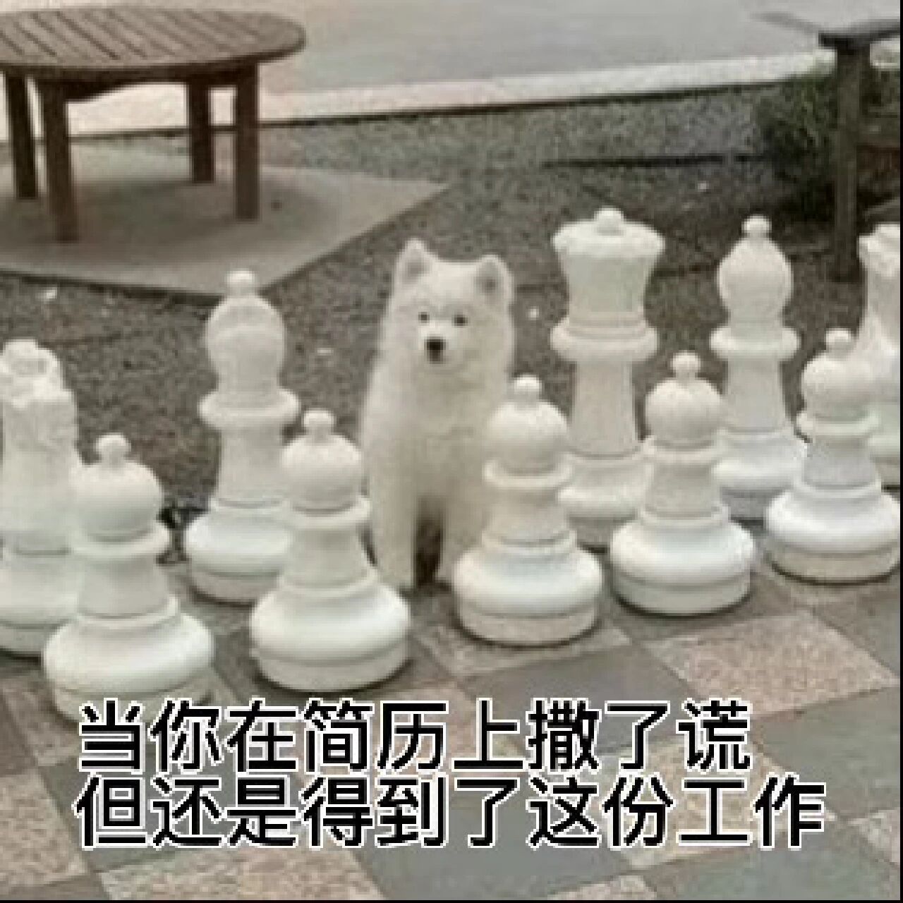 当你在简历上撒了谎但还是得到这份工作
