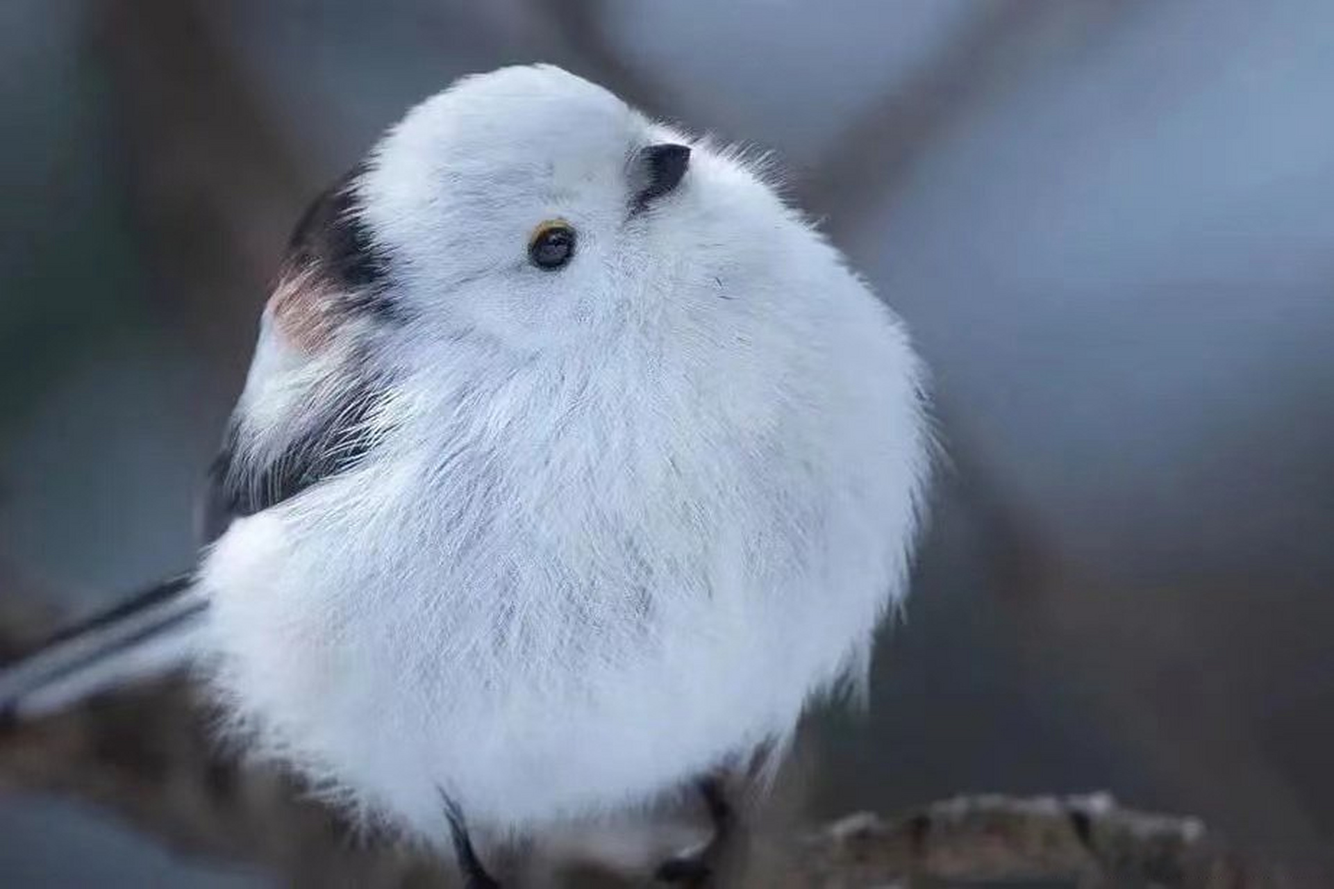 滨职科普#滨州职业学院[超话] 叮咚~滨职科普小课堂开课啦!
