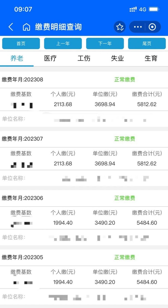 我的社保查询 明细图片