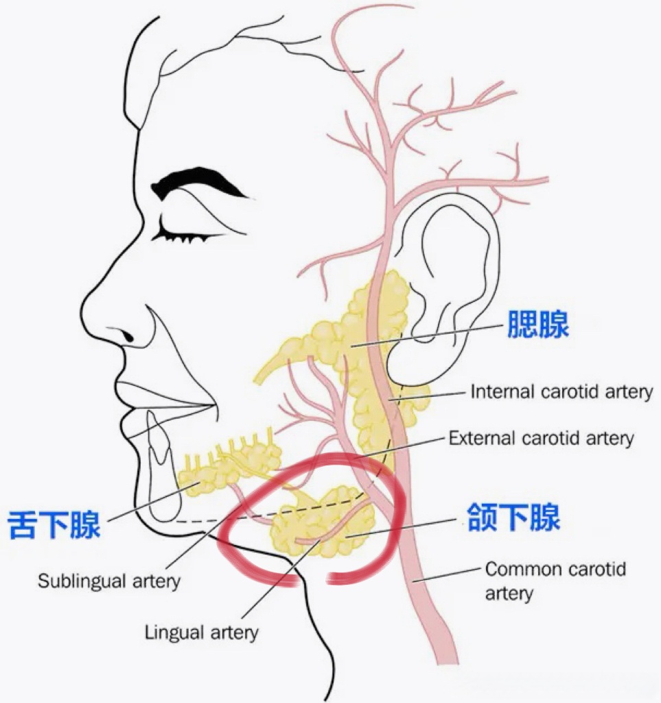 有些双下巴做吸脂只能改善