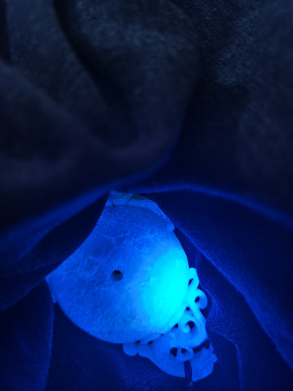 翡翠紫光灯照射有荧光,不一定是酸洗注胶吗 上个礼拜买了紫光灯(365