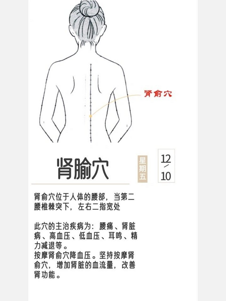 补肾助阳,腰痛,耳鸣,高,低血压等97肾腧穴 肾俞穴位于人体的腰部,当