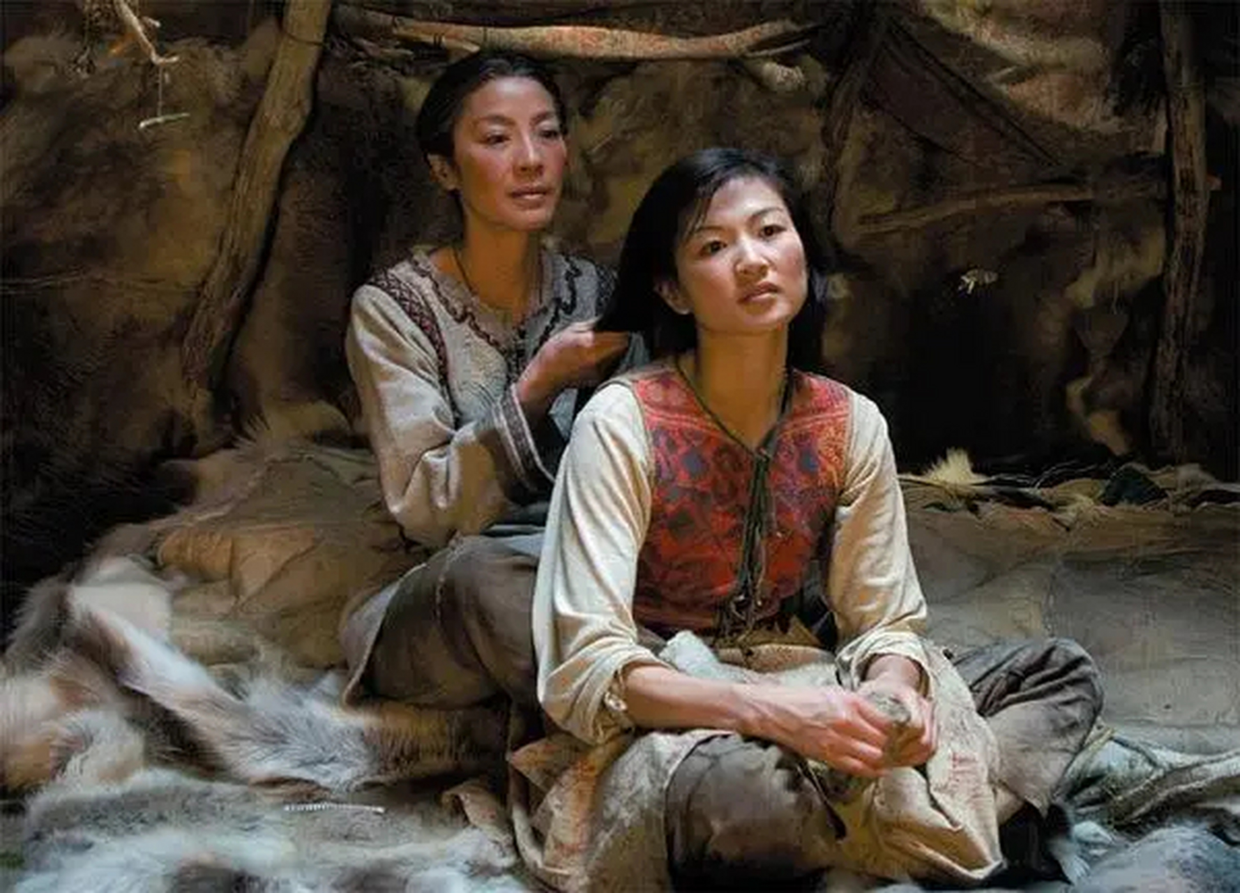 杨紫琼还演过一个叫做《遥远的北方》的电影.