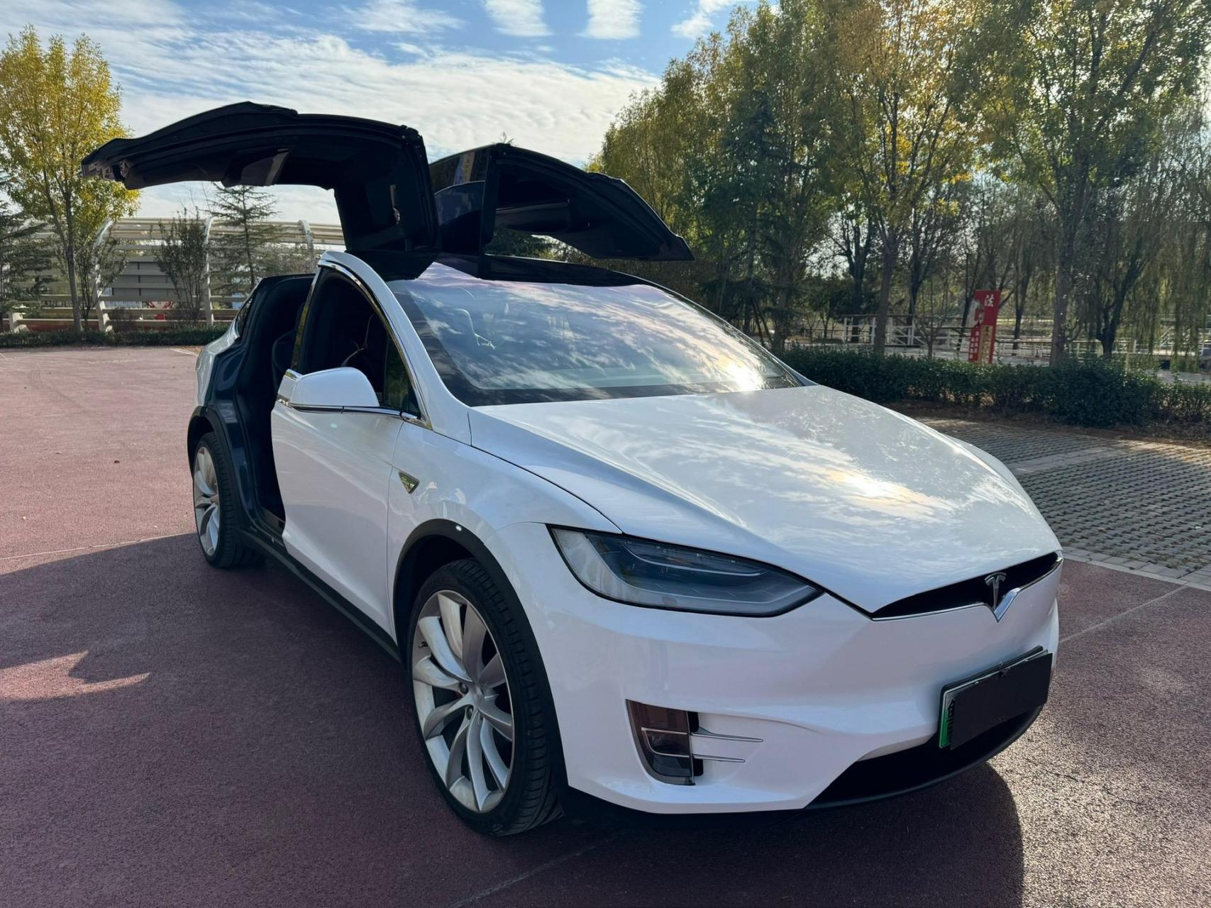 特斯拉·model x 纯电鸥翼门.