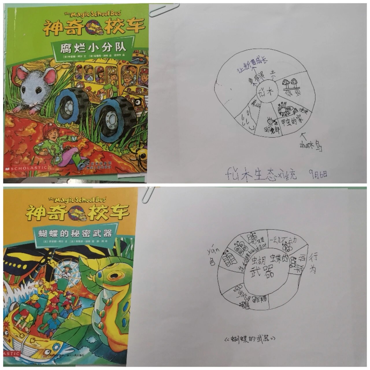 《神奇的校车》思维导图读书笔记 精读一本书