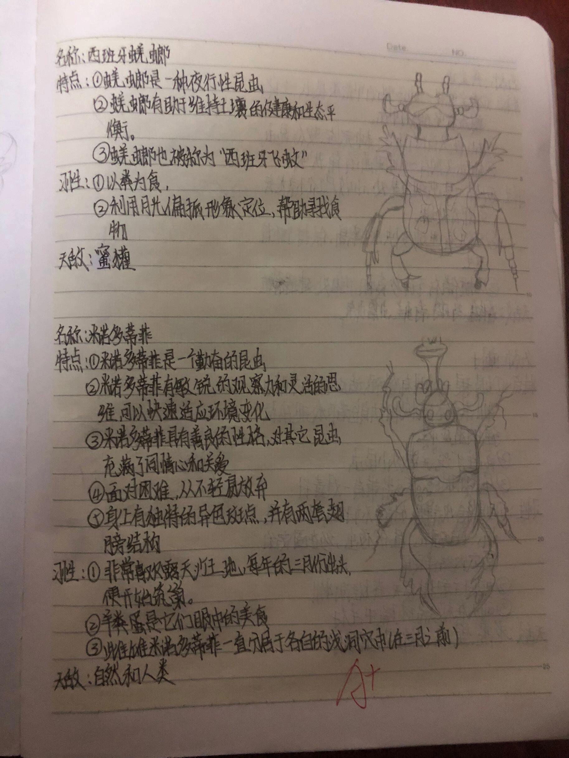 昆虫记档案 名称 特点 习性 天敌 手绘图文