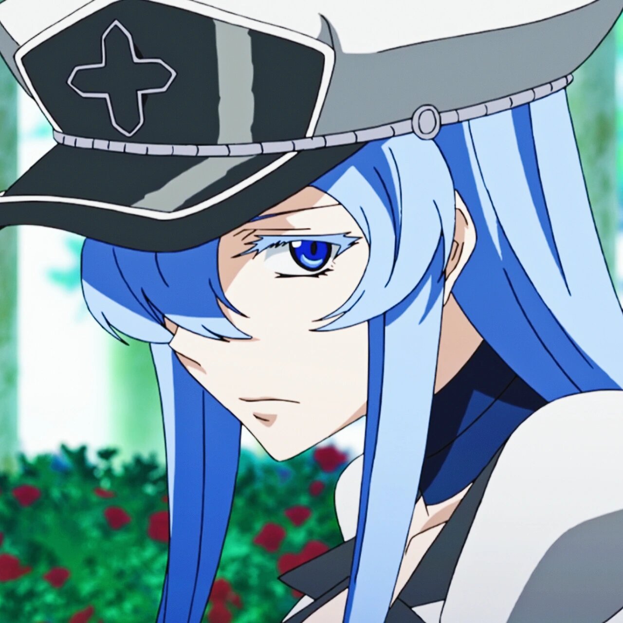 斩·赤红之瞳!|艾斯德斯① 自截自修,取图私信