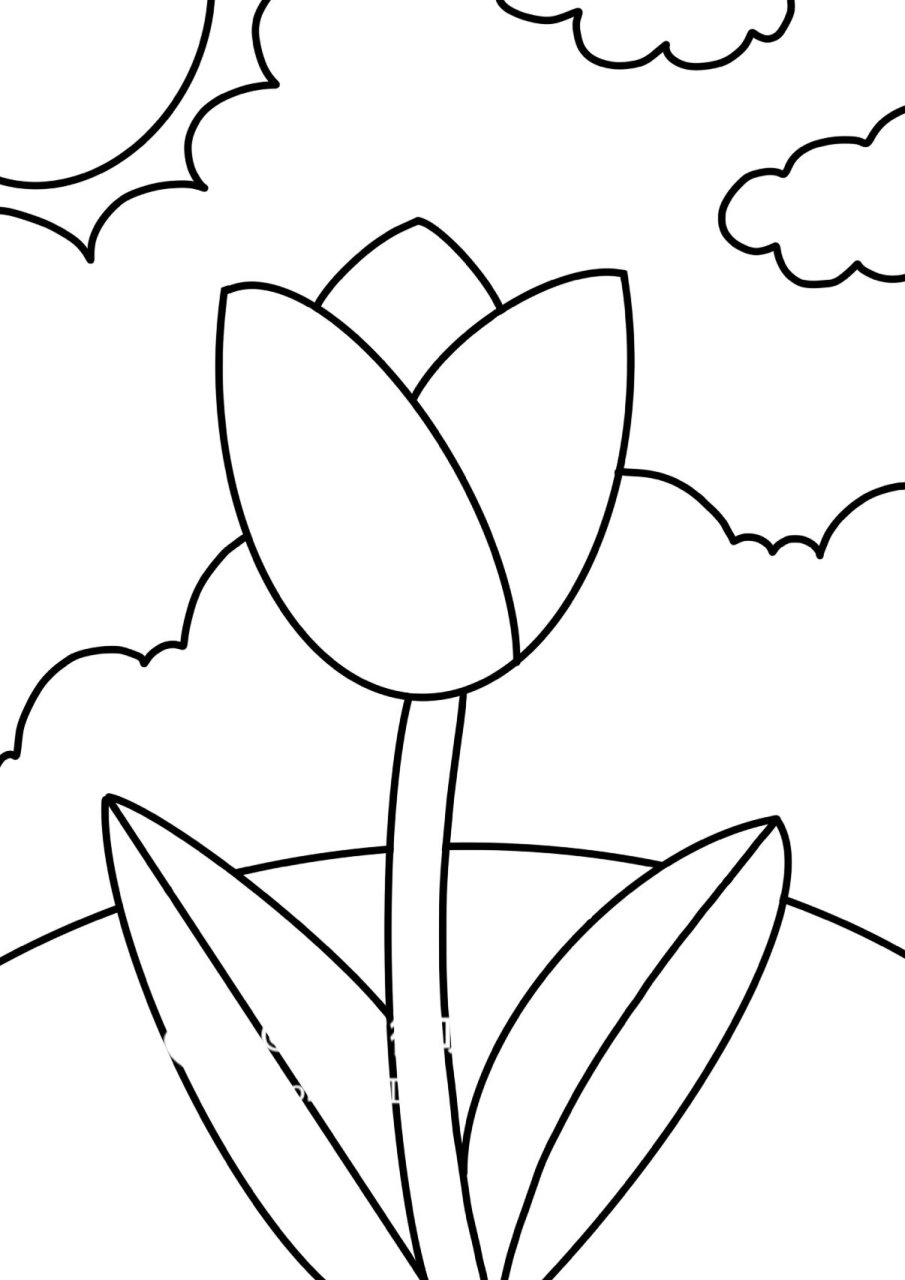 花朵简笔画～儿童画