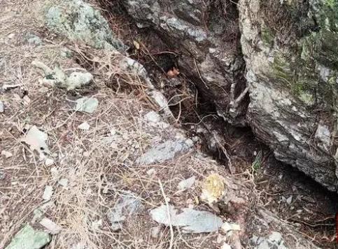 9岁男孩失踪13年后尸骨现身山林地缝