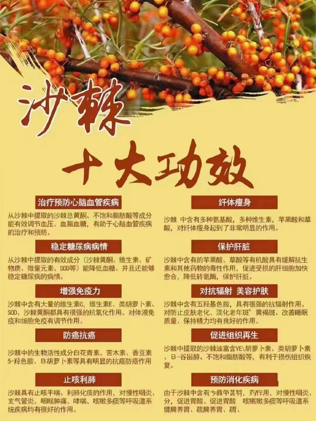 别囤药了 副作用大,是药三分毒 把药换沙棘,全家身体收益 日常每天喝