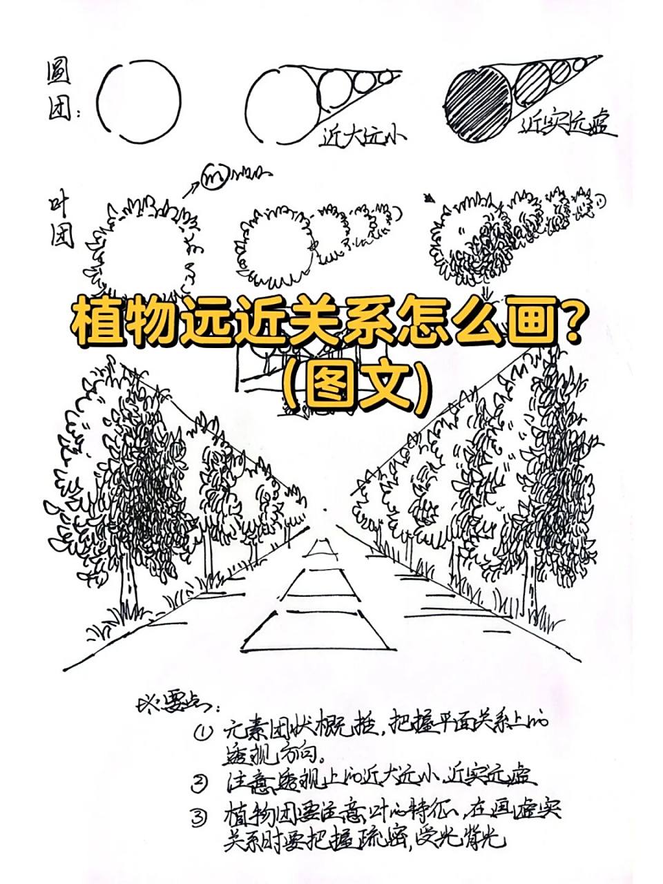 7815植物远近关系怎么画?【图文版 [太阳]要点:(还有往期视频) 1.