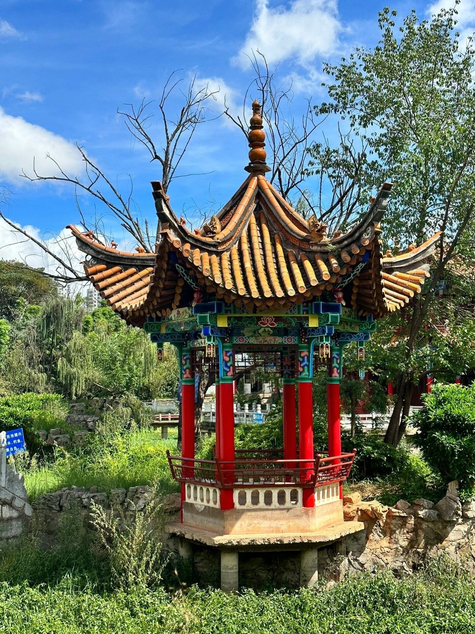 峨碌公园秘境|楚雄西山 哈咯,大家晚上好呀 98平时遛娃去西山公园就